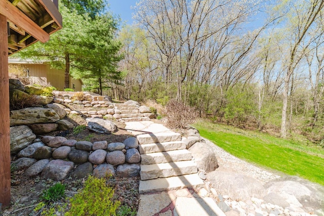 N4404 Pine Dr, Montello, WI 53949 - view of yard