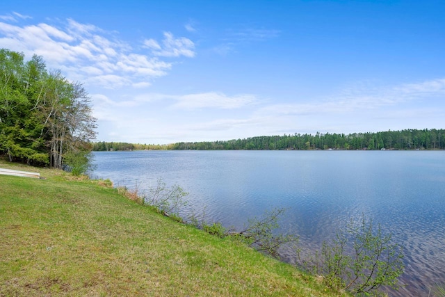 12450 Nixon Rd, Minocqua, WI 54548 - water view featuring a heavily wooded area