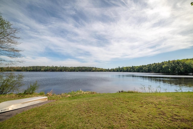 12450 Nixon Rd, Minocqua, WI 54548 - water view featuring a forest