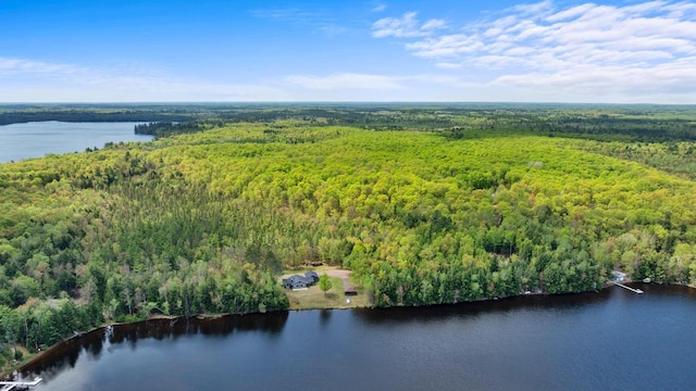 12450 Nixon Rd, Minocqua, WI 54548 - aerial view of a forest and a nearby body of water