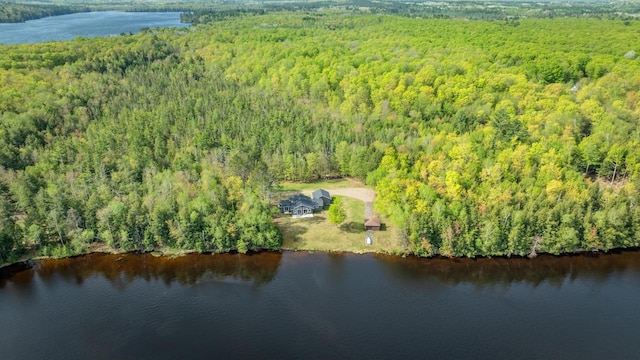 12450 Nixon Rd, Minocqua, WI 54548 - bird's eye view of a forest and a large body of water