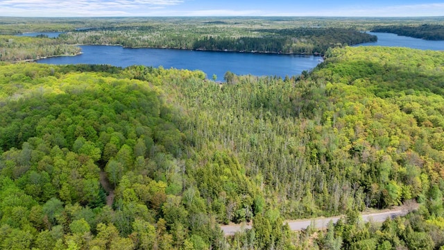 12450 Nixon Rd, Minocqua, WI 54548 - drone / aerial view of a forest and a nearby body of water