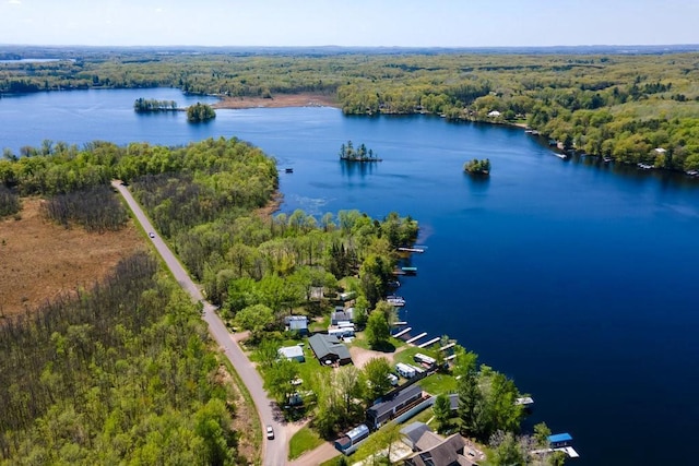 30994 122nd St, New Auburn, WI 54757 - drone / aerial view of a forest and a nearby body of water
