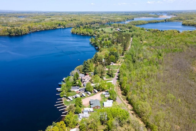 30994 122nd St, New Auburn, WI 54757 - drone / aerial view of a heavily wooded area and a large body of water