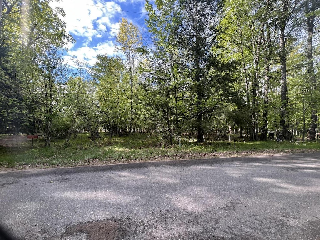 W16252 S Shore Dr, Armstrong Creek, WI 54103