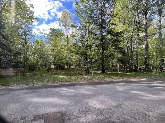 W16252 S Shore Dr, Armstrong Creek, WI 54103