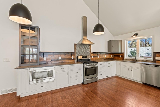 450 Lake Ave, Montello, WI 53949 - kitchen featuring stainless steel appliances, ventilation hood, a sink, dark wood finished floors, and tasteful backsplash