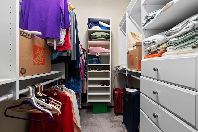 6102 Misty Bridge Rd, Madison, WI 53718 - spacious closet featuring carpet