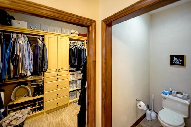870 Eden Ct, Menasha, WI 54956 - view of closet