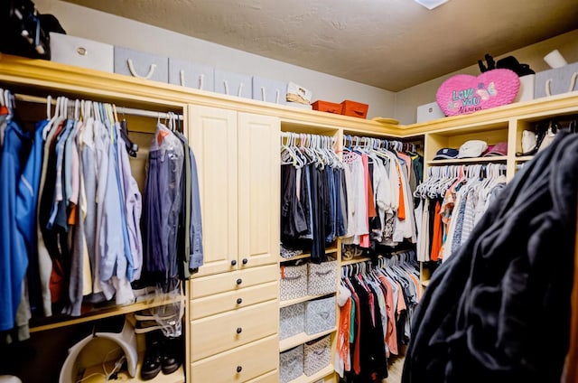 870 Eden Ct, Menasha, WI 54956 - view of spacious closet