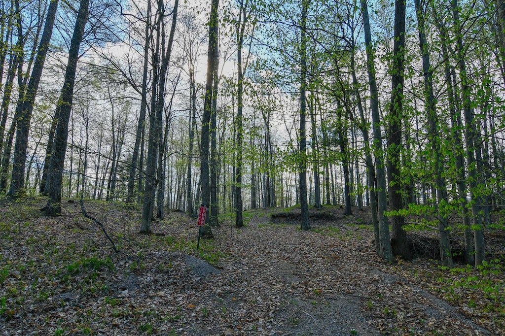 N12655 Hemlock Shores Ct, Athelstane, WI 54104