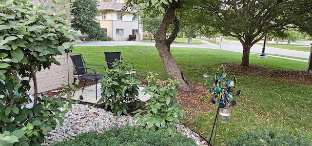 26 Waunona Woods Ct, Madison, WI 53713 - view of grassy yard