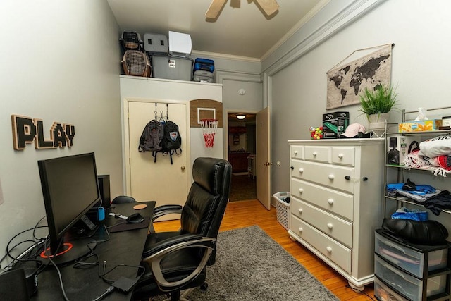 306 Wisconsin St, Oshkosh, WI 54901 - office space with crown molding, wood finished floors, and ceiling fan