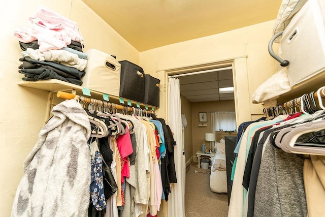 306 Wisconsin St, Oshkosh, WI 54901 - spacious closet featuring carpet floors