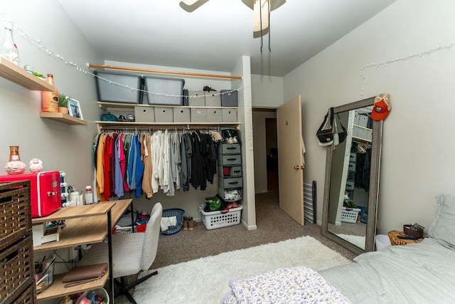 306 Wisconsin St, Oshkosh, WI 54901 - bedroom featuring a closet, carpet flooring, and a ceiling fan