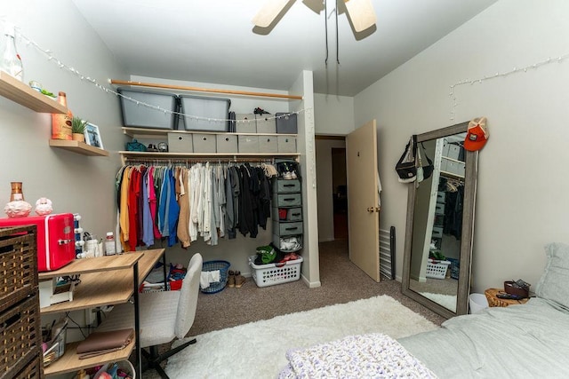 306 Wisconsin St, Oshkosh, WI 54901 - bedroom featuring a closet, carpet flooring, and ceiling fan