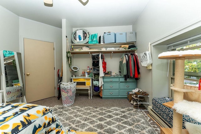 306 Wisconsin St, Oshkosh, WI 54901 - bedroom with a closet and a ceiling fan