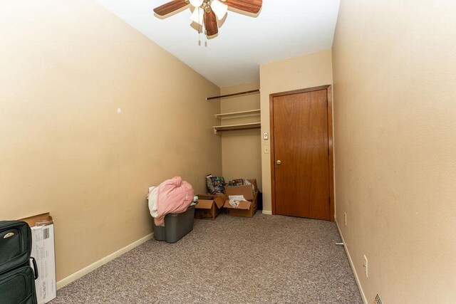 306 Wisconsin St, Oshkosh, WI 54901 - storage room featuring ceiling fan