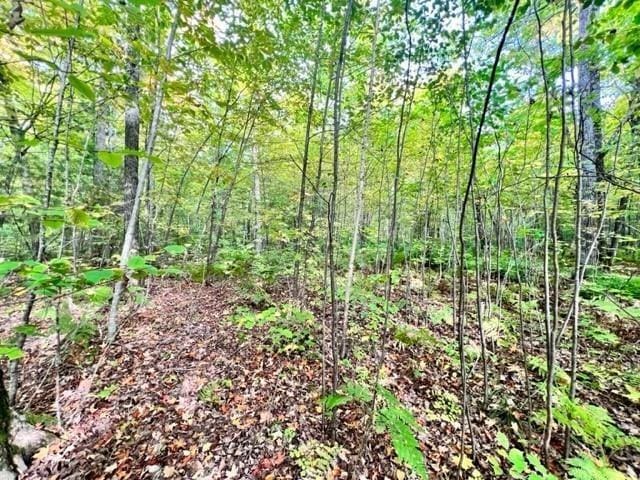13107 W Peninsula Rd, Hayward, WI 54843