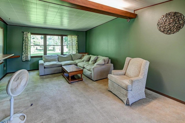 1614 Lake View Ave, Madison, WI 53704 - carpeted living area with beamed ceiling and baseboards