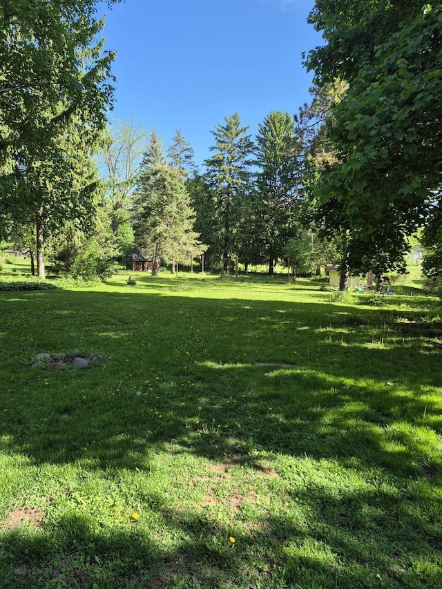 1614 Lake View Ave, Madison, WI 53704 - view of grassy yard