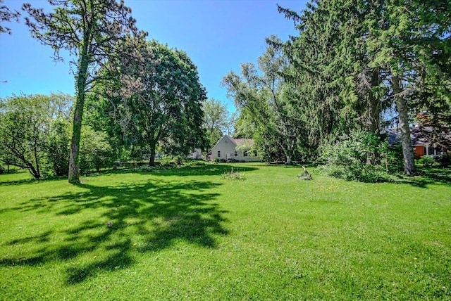 1614 Lake View Ave, Madison, WI 53704 - view of grassy yard