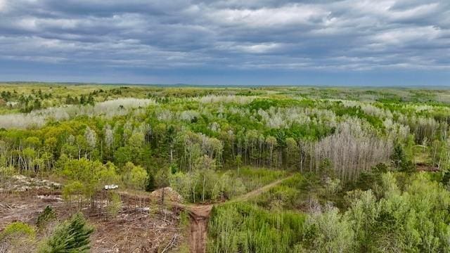 0 Larsen Rd, Hayward, WI 54843