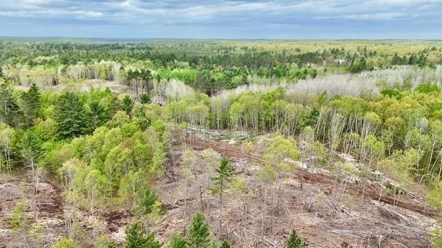 0 Larsen Rd, Hayward, WI 54843