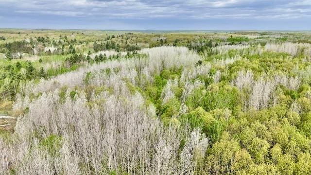 0 Larsen Rd, Hayward, WI 54843