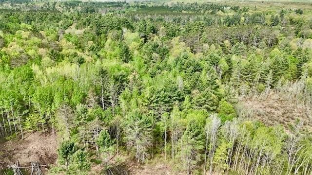 0 Larsen Rd, Hayward, WI 54843