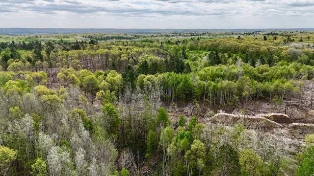 0 Larsen Rd, Hayward, WI 54843