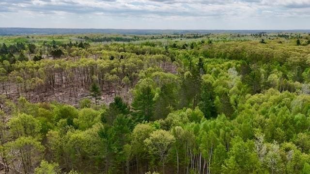 0 Larsen Rd, Hayward, WI 54843