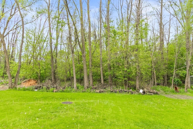 632 Grove St, Portage, WI 53901 - view of grassy yard