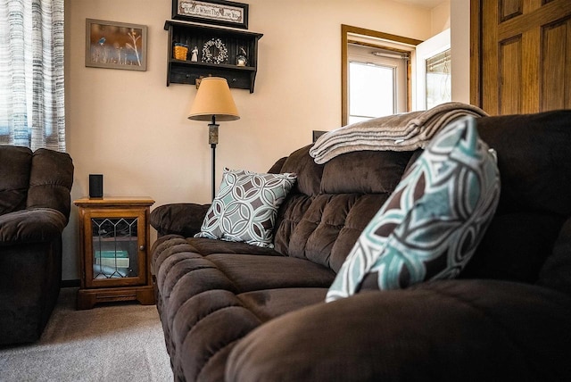 33902 County Rd N Unit L4, Hillpoint, WI 53937 - view of carpeted living area