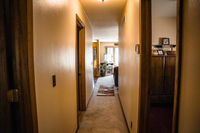 33902 County Rd N Unit L4, Hillpoint, WI 53937 - hallway with light colored carpet