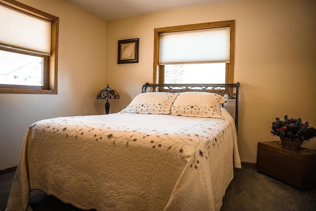 33902 County Rd N Unit L4, Hillpoint, WI 53937 - bedroom with dark colored carpet