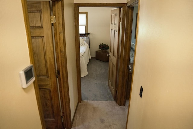 33902 County Rd N Unit L4, Hillpoint, WI 53937 - corridor featuring carpet floors