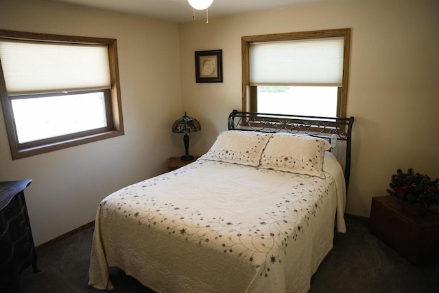 33902 County Rd N Unit L4, Hillpoint, WI 53937 - bedroom featuring carpet floors, multiple windows, and baseboards