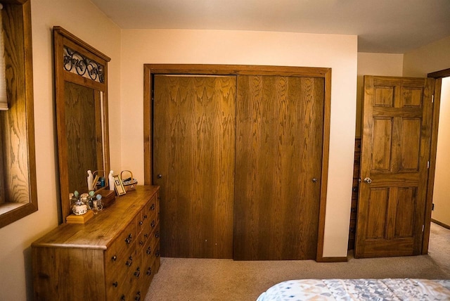 33902 County Rd N Unit L4, Hillpoint, WI 53937 - bedroom with carpet floors and a closet