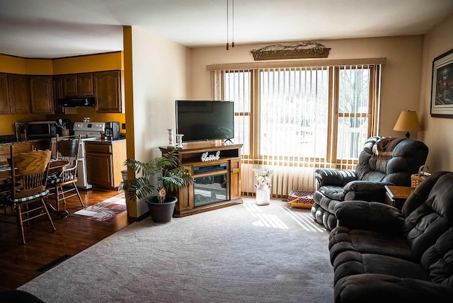 33902 County Rd N Unit L4, Hillpoint, WI 53937 - living area featuring dark wood-style floors