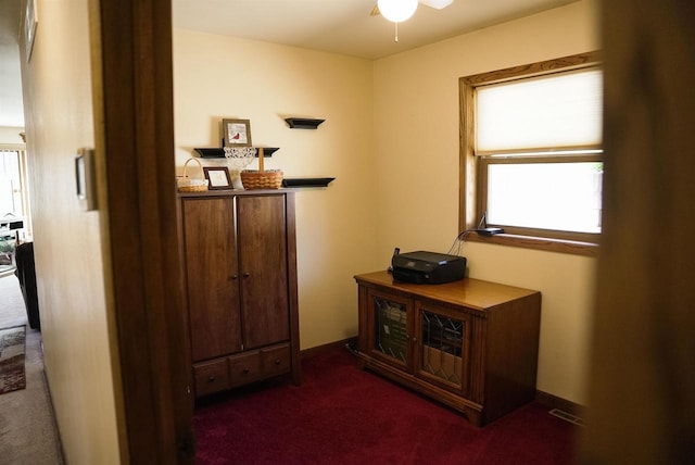 33902 County Rd N Unit L4, Hillpoint, WI 53937 - corridor with dark carpet