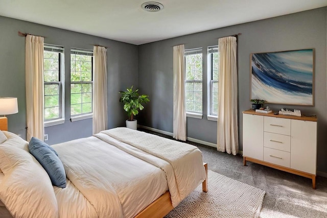 7102 Flagship Dr Unit 8, Madison, WI 53719 - bedroom with multiple windows, carpet flooring, and baseboards