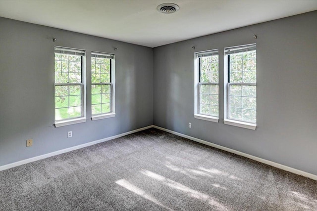 7102 Flagship Dr Unit 8, Madison, WI 53719 - empty room with plenty of natural light, baseboards, and carpet flooring