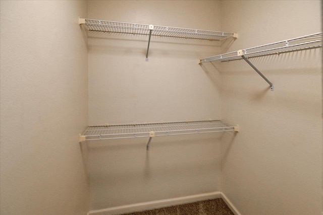 7102 Flagship Dr Unit 8, Madison, WI 53719 - walk in closet featuring carpet flooring