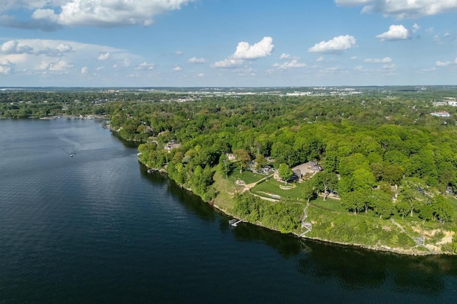 810 Farwell Dr, Madison, WI 53704 - aerial overview of property's location featuring a forest and a large body of water