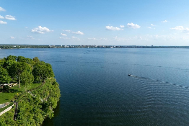 810 Farwell Dr, Madison, WI 53704 - water view