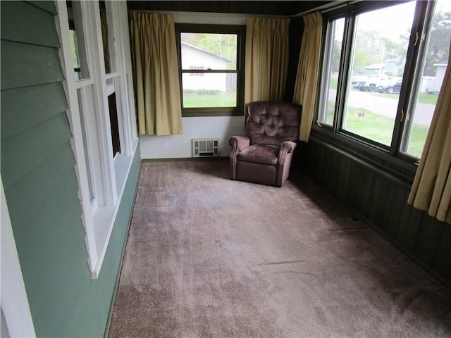 823 German St, Hawkins, WI 54530 - sitting room with healthy amount of natural light and carpet