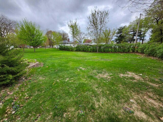 805 S Wacouta Ave, Prairie Du Chien, WI 53821 - view of grassy yard