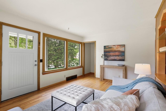 5406 Marsha Dr, Madison, WI 53705 - living room featuring plenty of natural light, wood finished floors, and baseboards