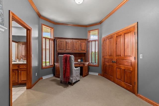 441 E Apple Creek Rd, Appleton, WI 54913 - office space featuring crown molding, plenty of natural light, baseboards, light colored carpet, and a sink